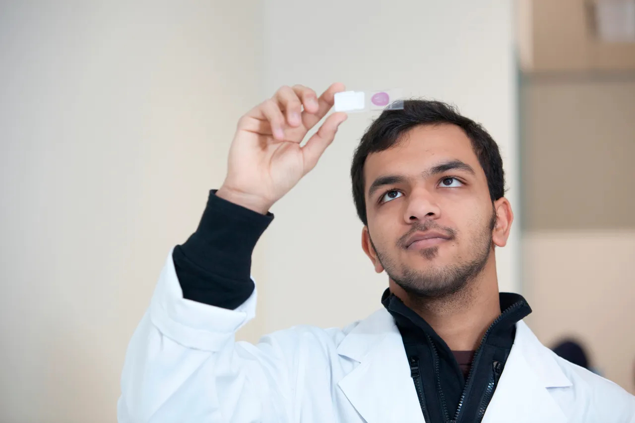 Melbourne scientist looking at sample in a university lab